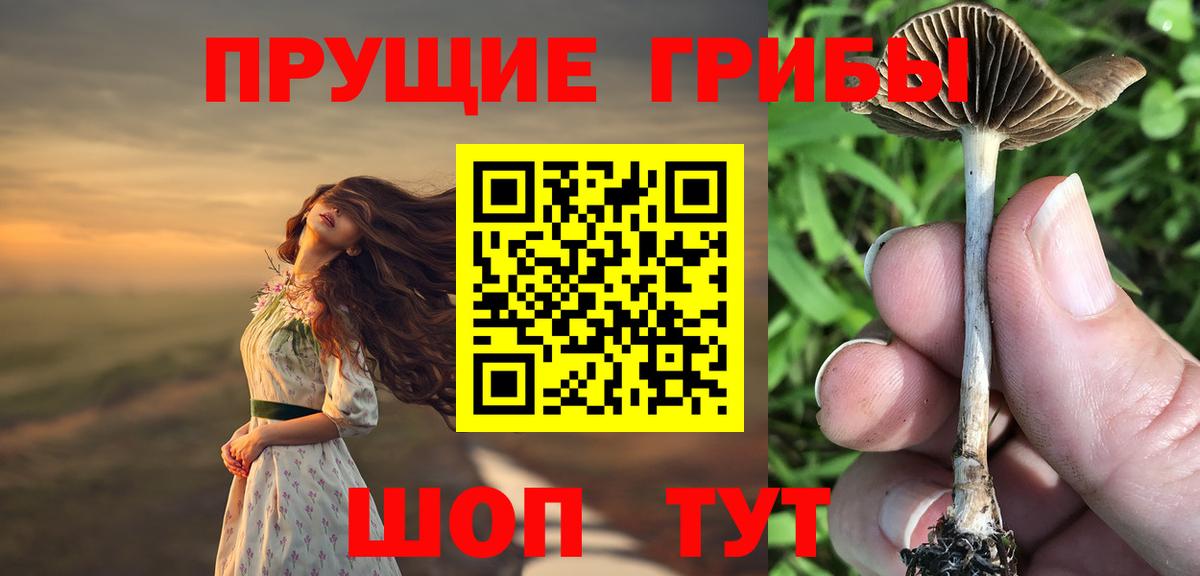 Псилоцибиновые грибы ЛСД Кондопога